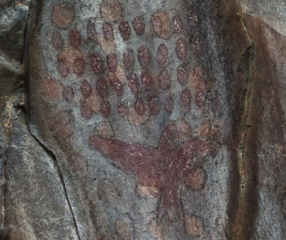 e47670a2-4783-4004-9b56-f82e66eb35c8.jpg e47670a2-4783-4004-9b56-f82e66eb35c8.jpg