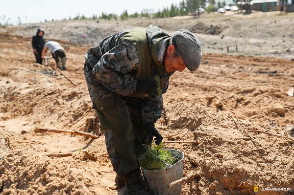 WhatsApp Image 2020-05-12 at 15.49.55.jpeg WhatsApp Image 2020-05-12 at 15.49.55.jpeg