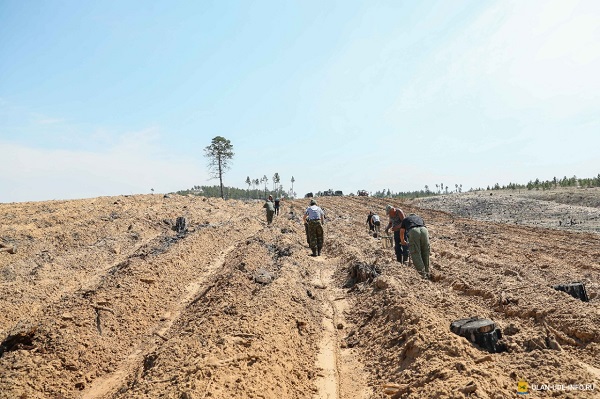 WhatsApp Image 2020-05-12 at 15.49.58.jpeg WhatsApp Image 2020-05-12 at 15.49.58.jpeg