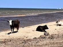 � ������� ���������� ��������� ������ �� ����������� ����� �����