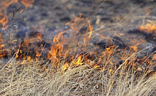 В Бурятии в этом году большинство лесных пожаров возникали из-за человека
