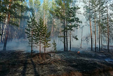 В Бурятии потушили лесной пожар, возникший по вине человека