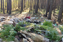 Лесники Бурятии убрали за жителями бытовую свалку в лесу
