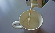 В Бурятии проведут фестиваль молока