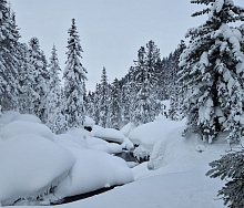 � ������� ������� �������� ������: �� 47 �������� ������