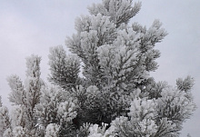 ��������� �������������� �������������� � �������